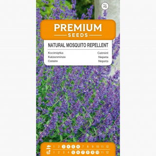 Kocimiętka odstraszająca komary