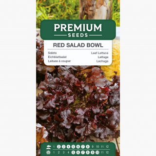 Sałata Red Salad Bowl - dębolistna
