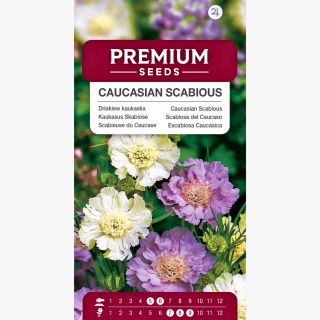 Driakiew kaukaska - mieszanka