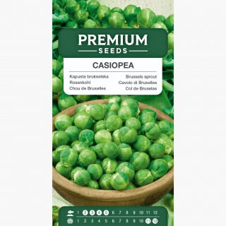 Kapusta brukselska Casiopea - zdrowa, zielona brukselka
