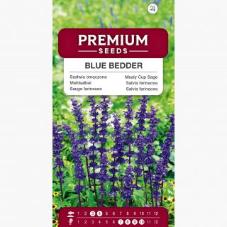 Szałwia omączona Blue Bedder - ciemnoniebieska