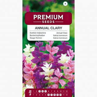 Szałwia trójbarwna - mieszanka kolorów