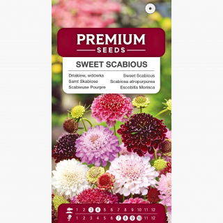 Driakiew, wdówka - mieszanka kolorów