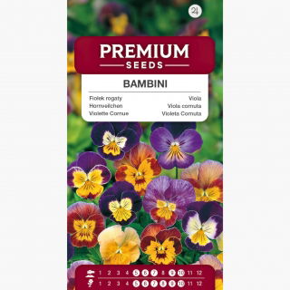Fiołek rogaty Bambini - mieszanka
