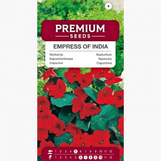 Nasturcja niska Empress of India