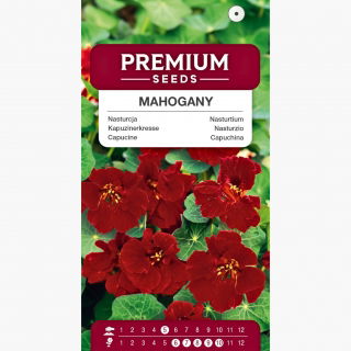 Nasturcja niska półpełna Mahogany