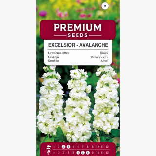 Lewkonia letnia Excelsior Avalanche