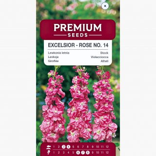 Lewkonia letnia Excelsior Rose no. 14