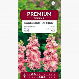 Lewkonia letnia Excelsior Apricot