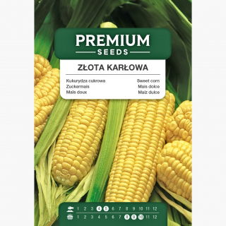 Kukurydza cukrowa Złota Karłowa