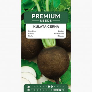 Rzodkiew Kulata Cerna, Czarna Kula - zimowa