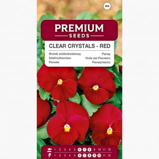 Bratek wielkokwiatowy Clear Crystals - czerwony