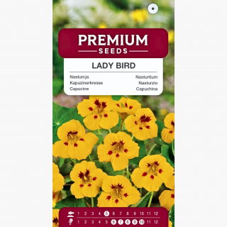 Nasturcja niska Lady Bird