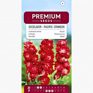 Lewkonia letnia Excelsior Pacific crimson