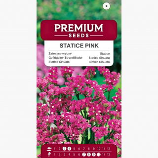 Zatrwian wrębny różowy