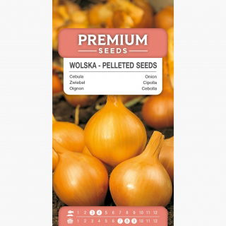 Cebula Wolska - NASIONA OTOCZKOWANE