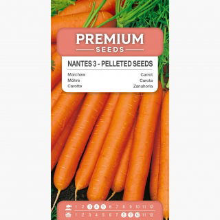 Marchew Nantes 3 (Nantejska) - średnio wczesna - NASIONA OTOCZKOWANE