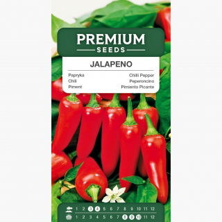 Papryka Jalapeno - bardzo ostra, czerwona