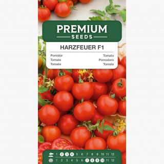Pomidor Harzfeuer F1 - gruntowy, znany i ceniony w Europie