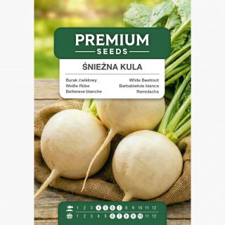 Burak ćwikłowy Śnieżna Kula - odmiana o białym korzeniu