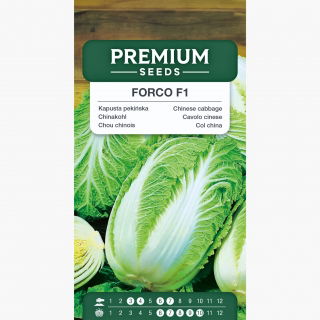 Kapusta pekińska Forco F1 - wczesna, do uprawy całorocznej