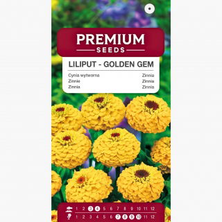 Cynia wytworna Liliput Golden Gem - żółta