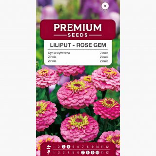 Cynia wytworna Liliput Rose Gem - różowa