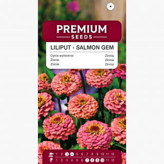 Cynia wytworna Liliput Salmon Gem - łososiowa