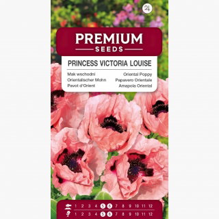 Mak wschodni Princess Victoria Louise - łososioworóżowy