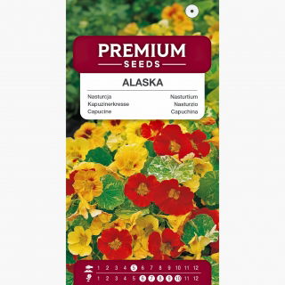 Nasturcja niska  Alaska mieszanka o liściach pstrych