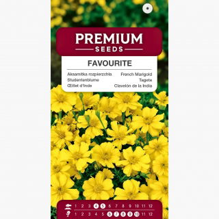 Aksamitka Favourite - rozpierzchła pojedyncza