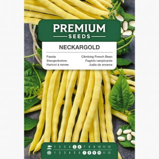 Fasola Neckargold - szparagowa, tyczna, żółta