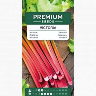 Rabarbar Victoria