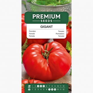 Pomidor Gigant