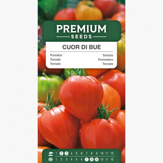 Pomidor Cuor di Bue typ Bawole Serce - gruntowy, wysoki