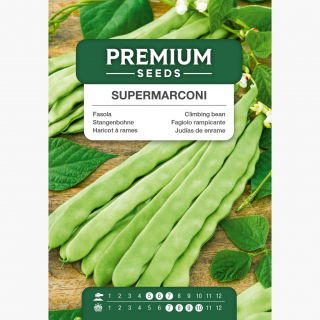 Fasola Supermarconi - szparagowa tyczna o czarnych nasionach