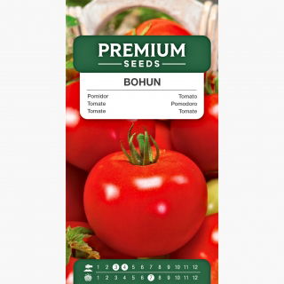 Pomidor Bohun - gruntowy, karłowy, bardzo wczesny, duże owoce!