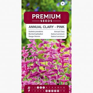 Szałwia powabna - różowa