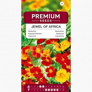 Nasturcja wysoka Jewel of Africa - o ozdobnych liściach