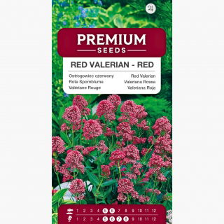 Ostrogowiec czerwony