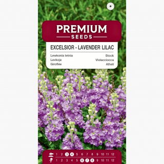 Lewkonia letnia Excelsior Lavender Lilac