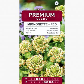 Rezeda wonna - czerwona