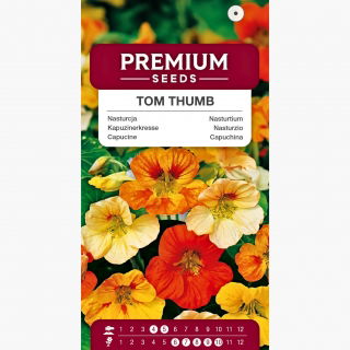 Nasturcja niska Tom Thumb