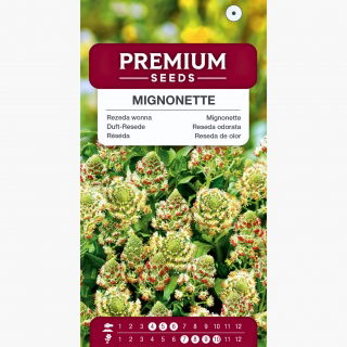 Rezeda wonna - mieszanka