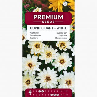 Kupidynek - biały