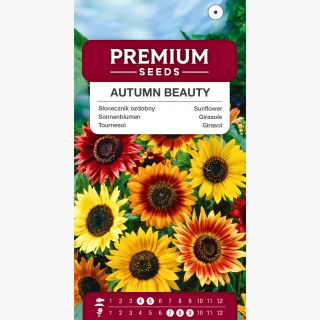 Słonecznik ozdobny Autumn Beauty