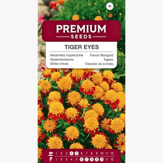 Aksamitka rozpierzchła Tiger Eyes - Tygrysie Oczy - rozpierzchła