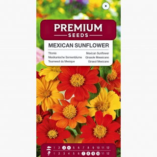 Titonia - kolorowa mieszanka