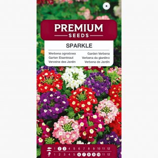 Werbena ogrodowa Sparkle