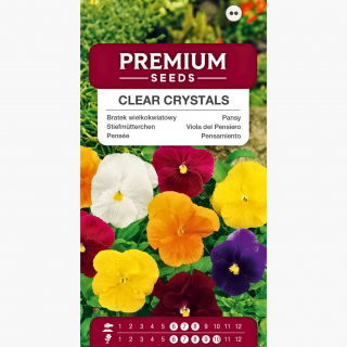 Bratek wielkokwiatowy Clear Crystals - kolorowa mieszanka